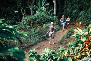 BIB: 
                            <button type="button" onclick="openModal(25820977)" class="btn btn-primary btn-sm float-right btn-popup" data-toggle="modal" data-target=".modal-high-quality">
                        <i class="fas fa-shopping-cart"></i> Add to Cart
                    </button>
                                            <button type="button" onclick="isThisMe(25820977, true)" class="btn btn-success btn-sm float-right btn-popup btn-isme hidden" data-toggle="tooltip" data-placement="bottom" title="นี่คือรูปของคุณใช่ไหม คลิกที่นี่เพื่อเอาเข้าอัลบั้ม">
                        <i class="fas fa-plus"></i> Add to album
                    </button>
                    <button type="button" onclick="isThisMe(25820977, false)" class="btn btn-warning btn-sm float-right btn-popup btn-isnotme hidden">
                        <i class="fas fa-ban"></i> Remove from album
                    </button>